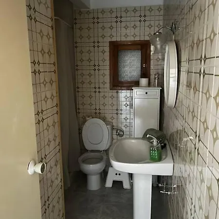 Tantulia Ficus Loft * 라 라구나