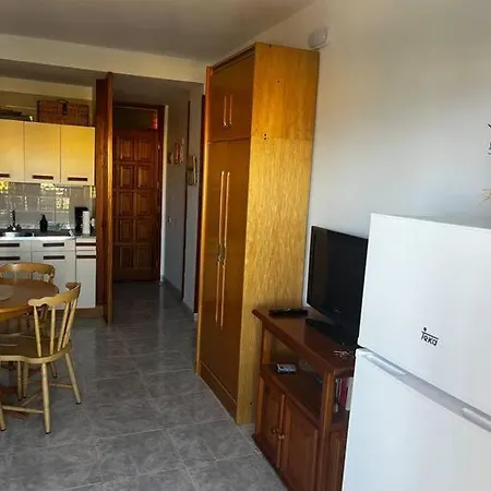 Tantulia Ficus Loft * 라 라구나